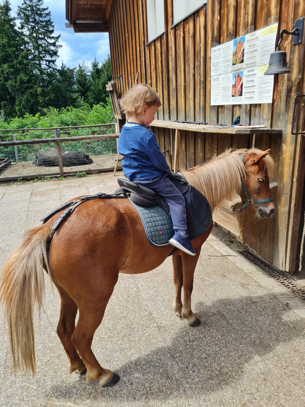 Wirtshaus Nattererboden