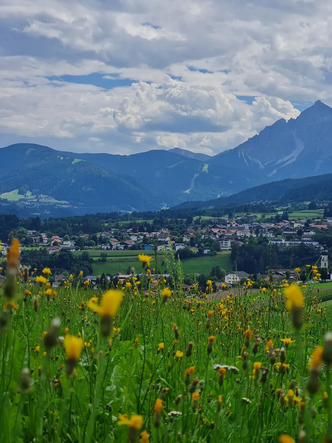 Wirtshaus Nattererboden