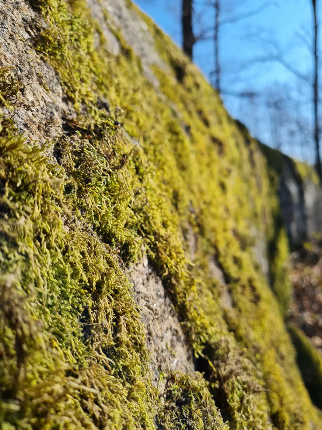 Naturpark Blockheide Kinderwagen