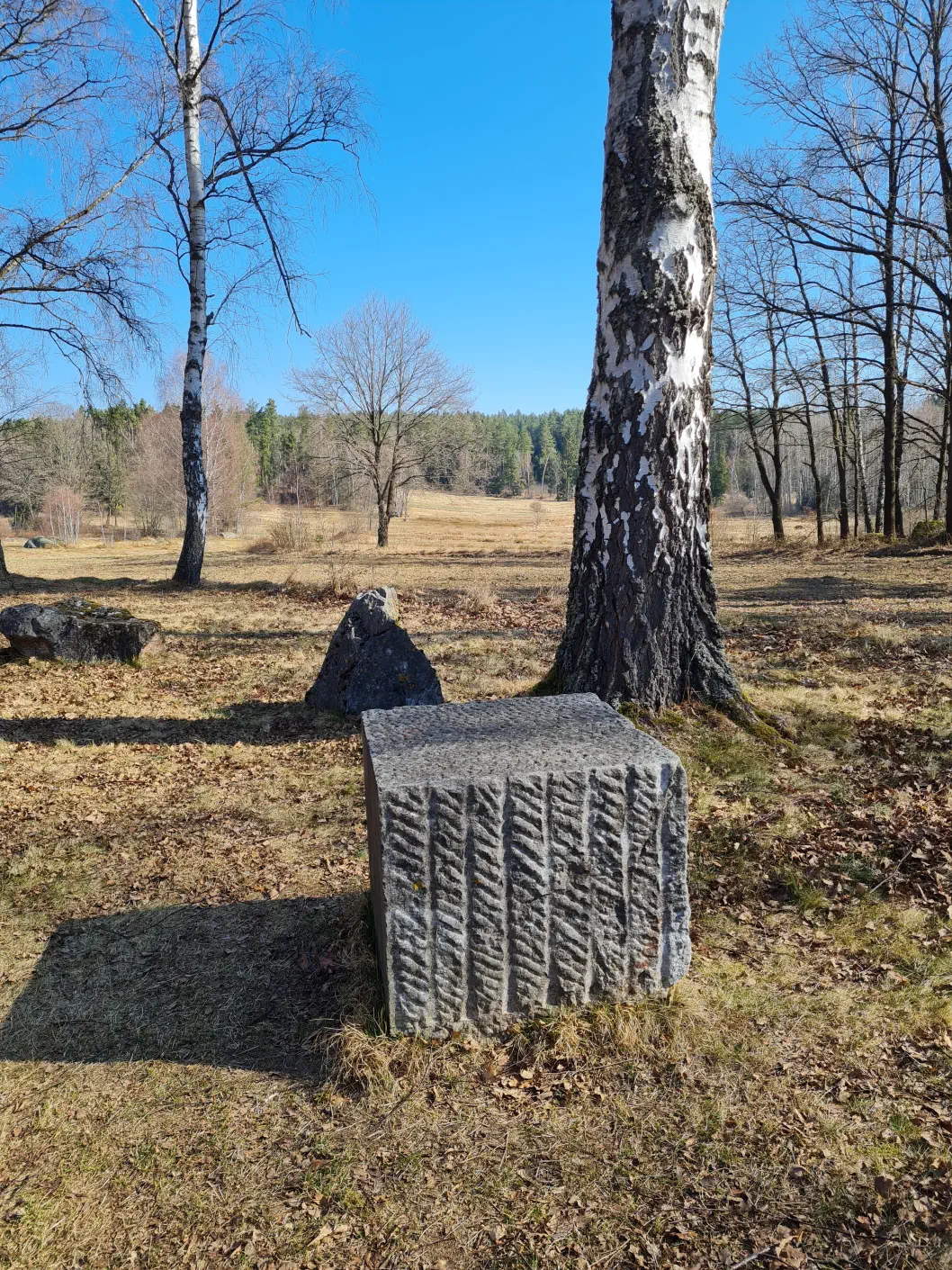 Naturpark Blockheide Kinderwagen