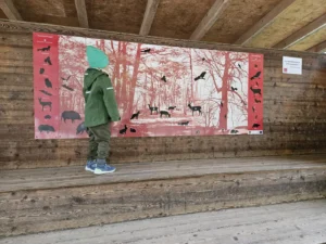 Naturpark Sparbach Kinderwagen