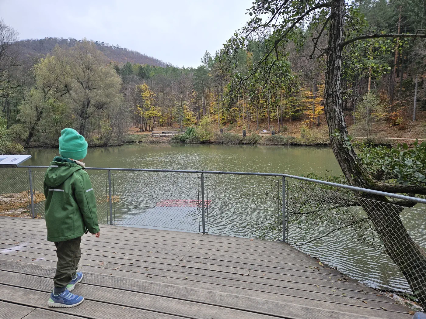 Naturpark Sparbach Kinderwagen