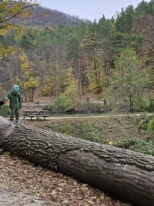 Naturpark Sparbach Kinderwagen