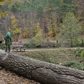 Naturpark Sparbach Kinderwagen