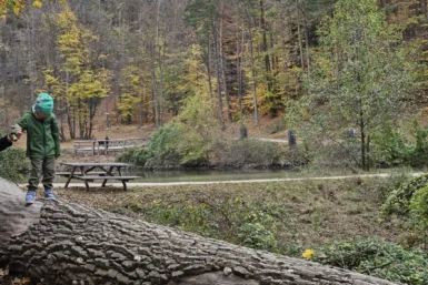 Naturpark Sparbach Kinderwagen