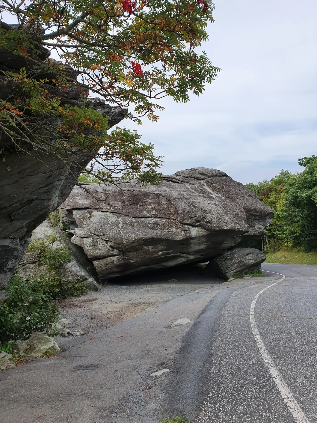 Grandfather Mountain