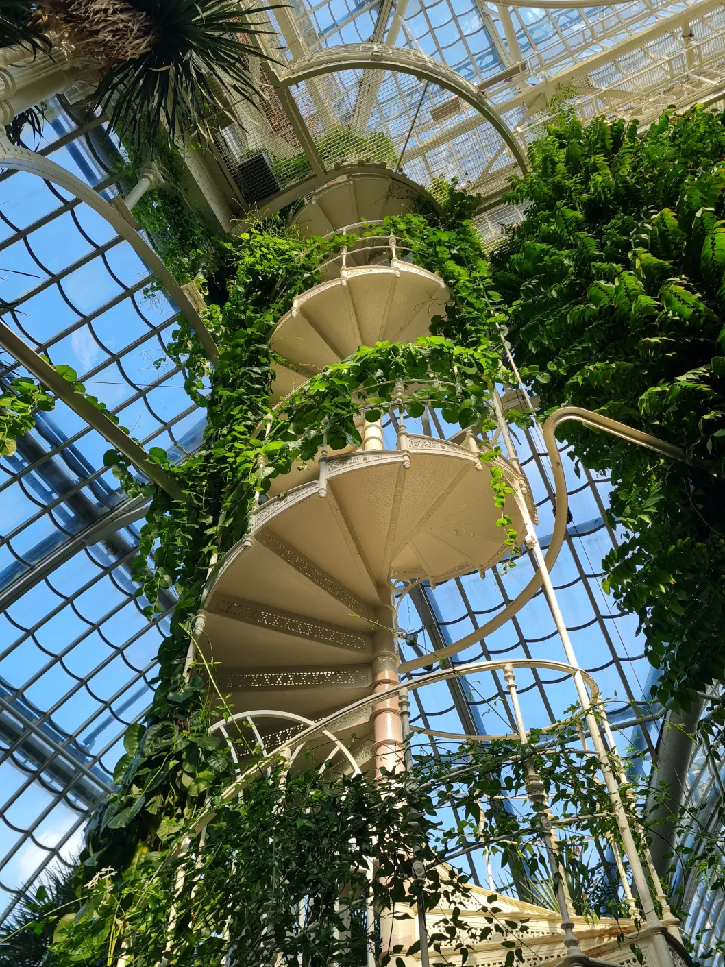 Wendeltreppe, die wunderschön verwachsen ist