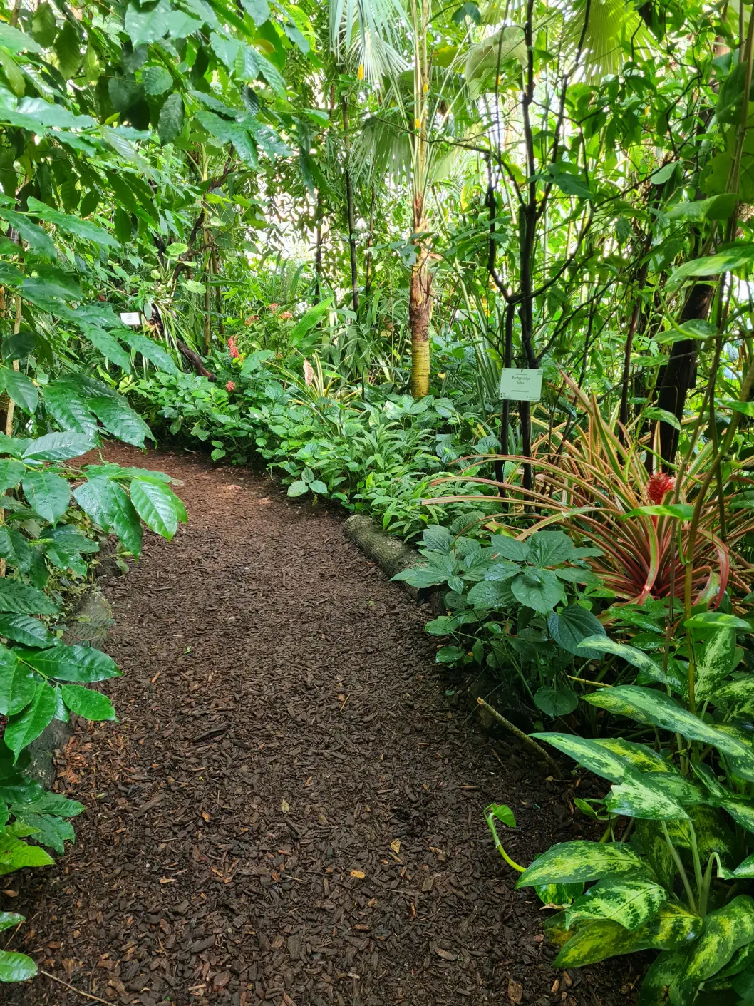 Die Wege sind flach, aber zu eng für einen Kinderwagen