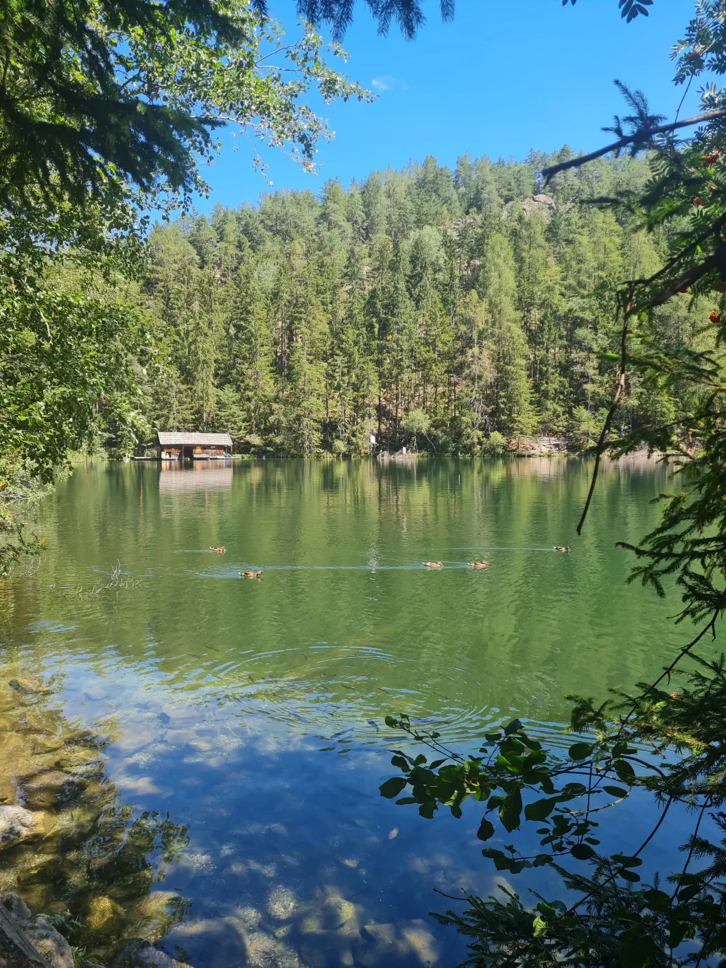 Piburger See mit Kinderwagen