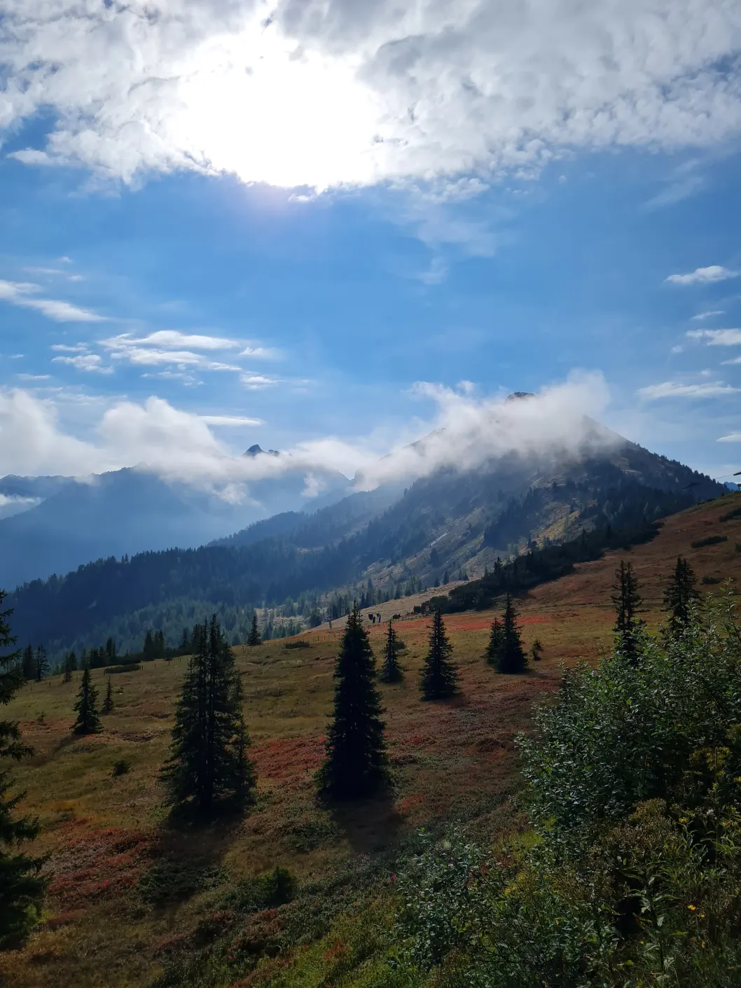 Natur pur in Schladming