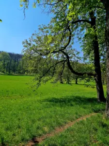 Tierpark Wien