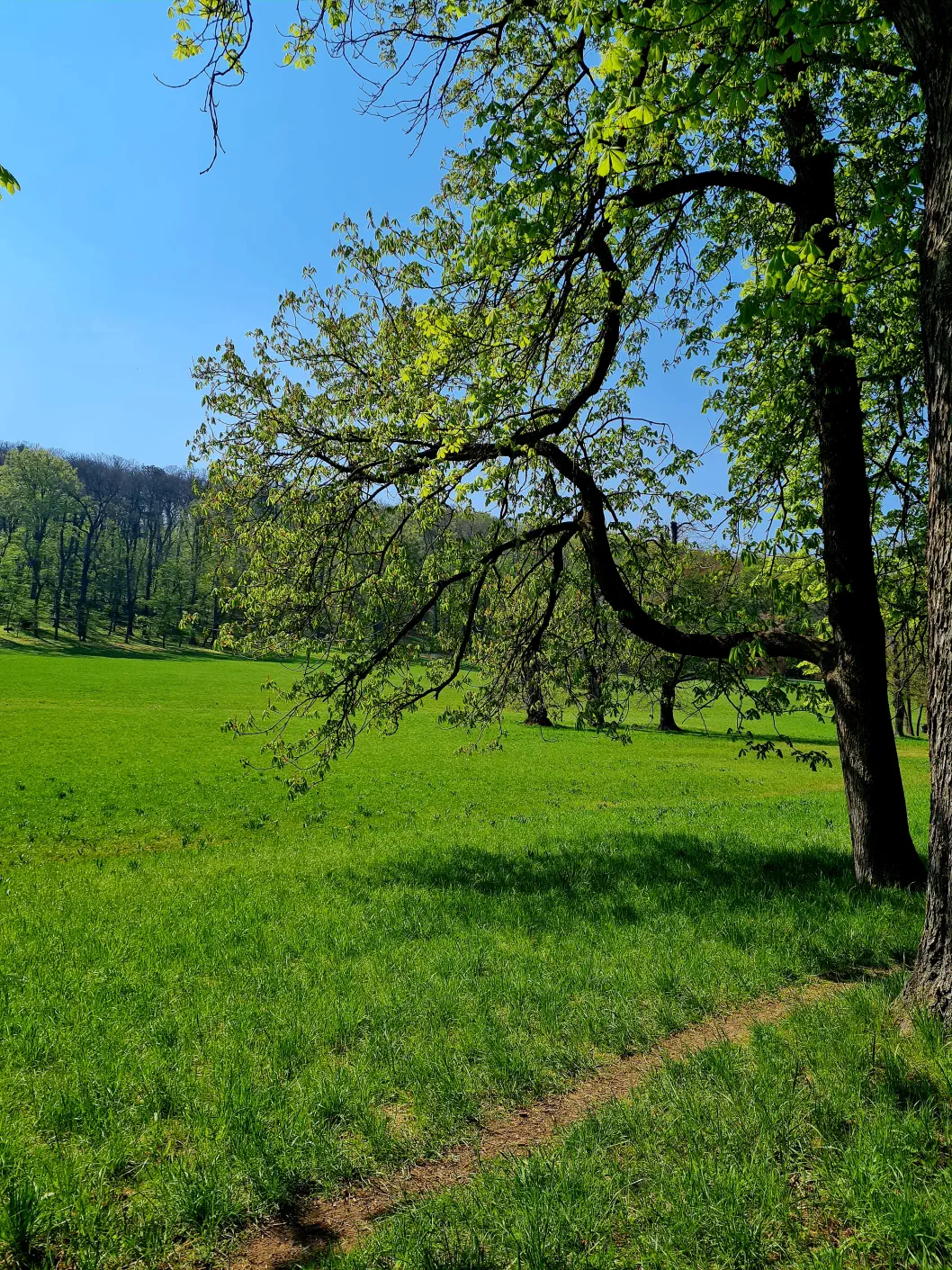 Tierpark Wien