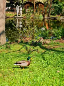 Tierpark Wien