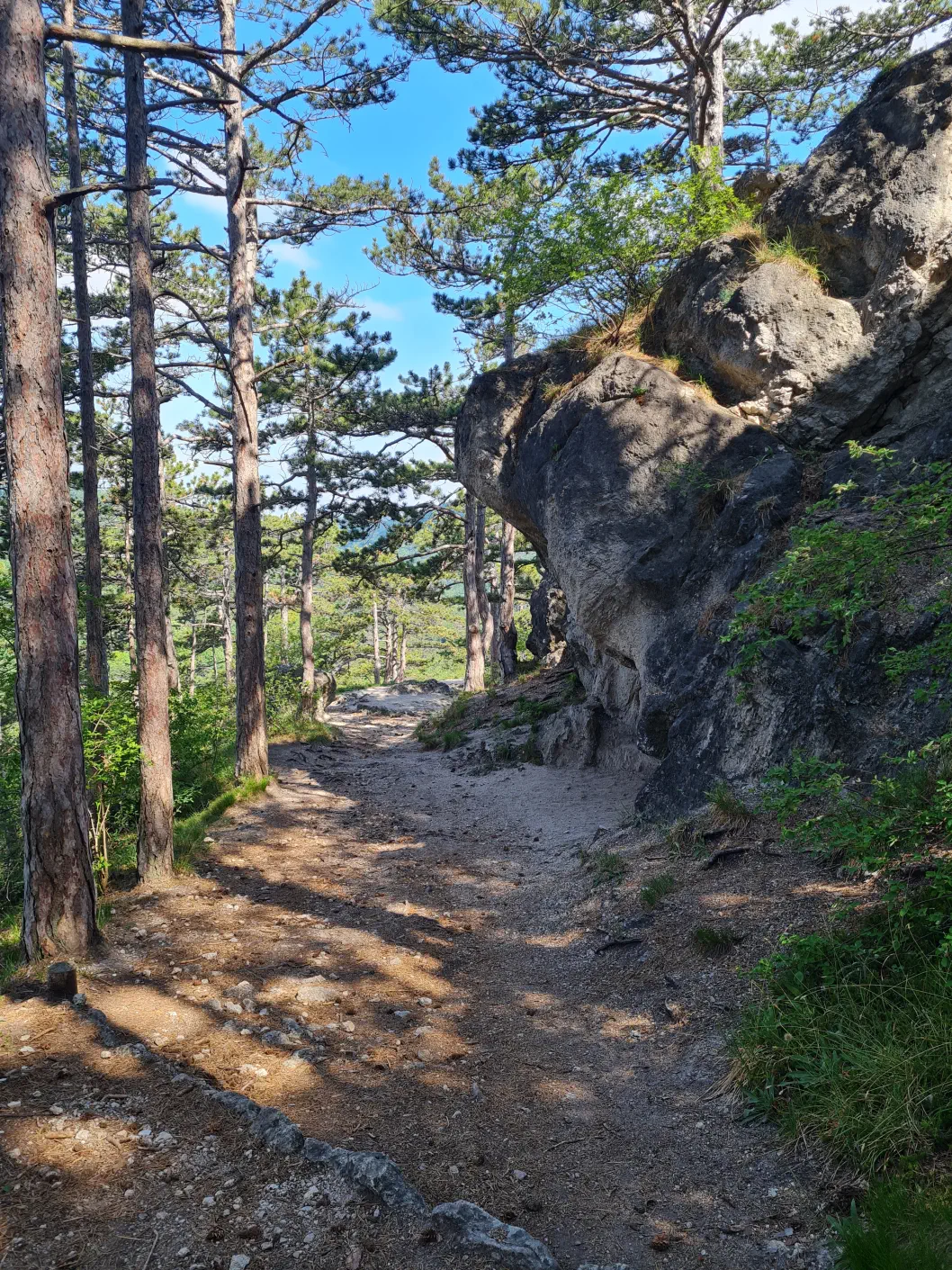 Burgruine Rauheneck Kind