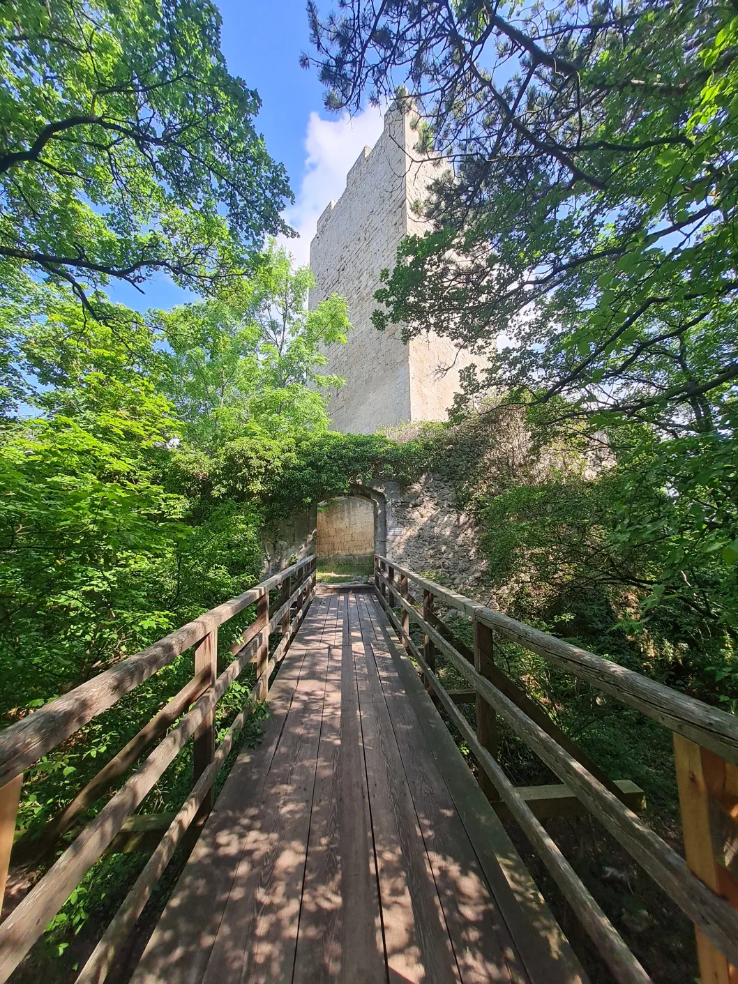 Burgruine Rauheneck Kind