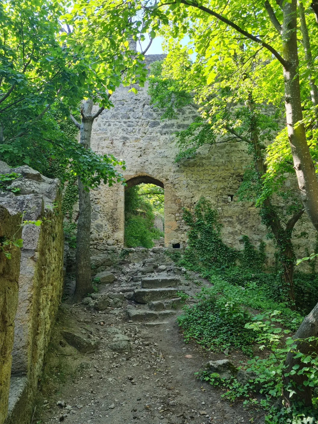 Burgruine Rauheneck Kind