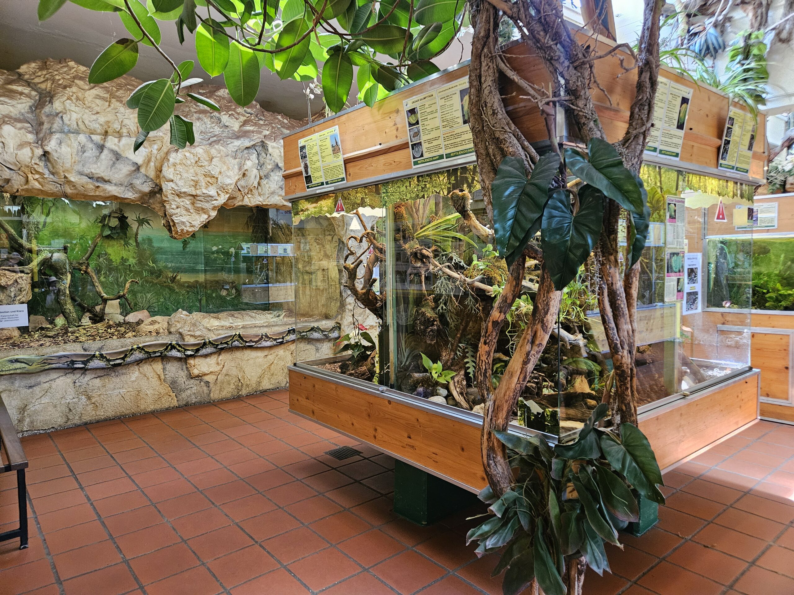 Reptilienzoo Happ Kleinkind