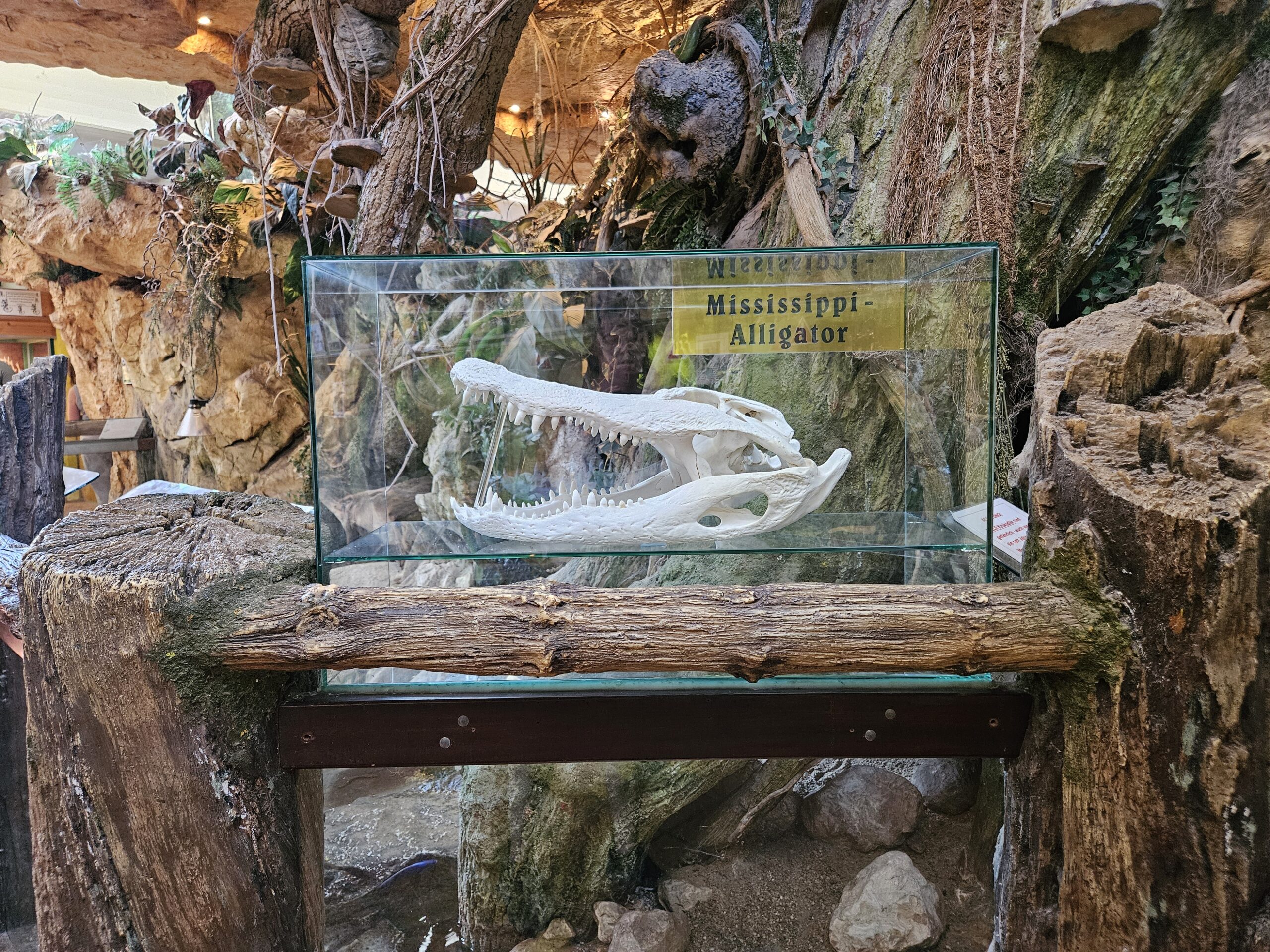 Reptilienzoo Happ Kleinkind