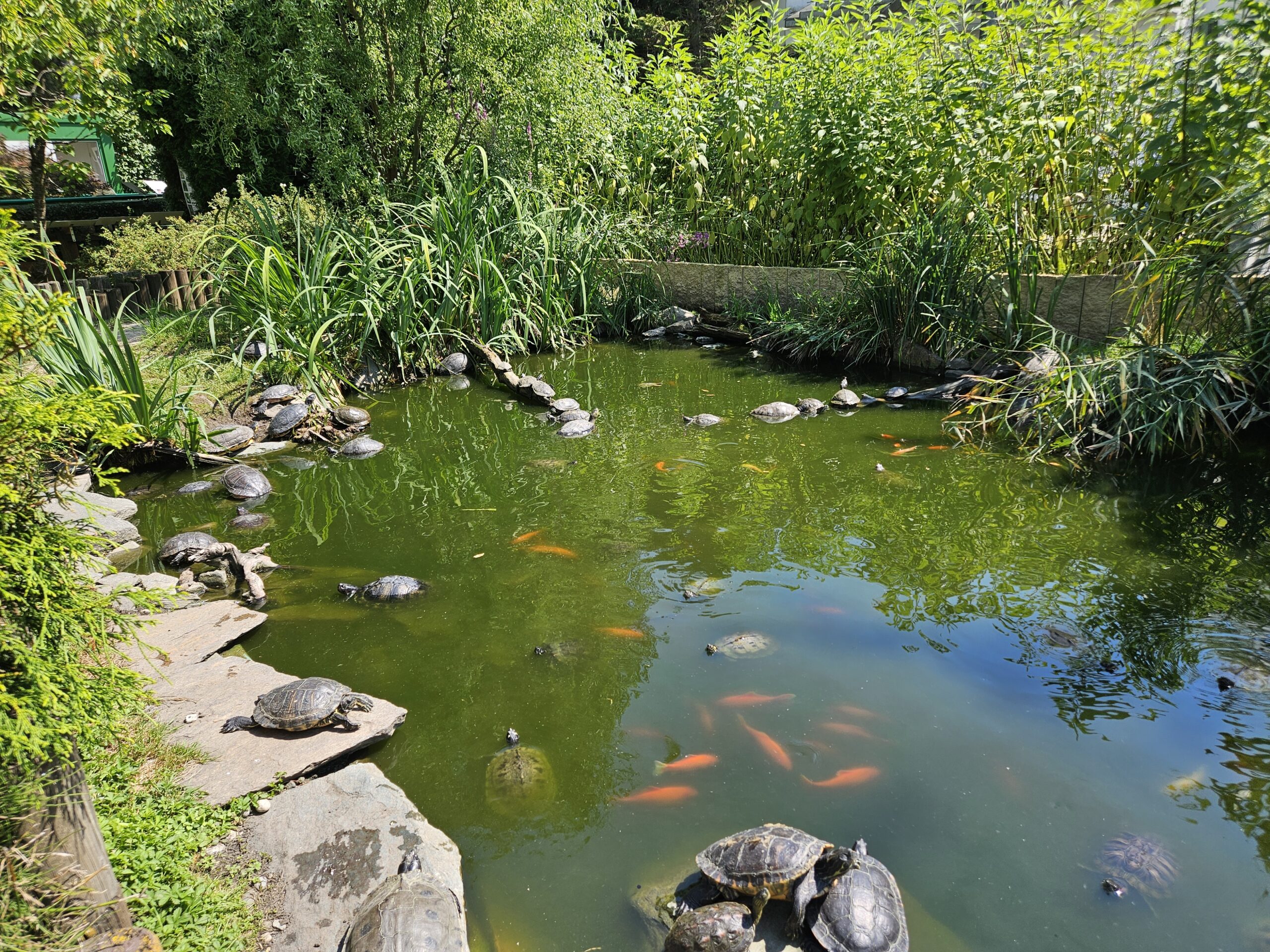 Reptilienzoo Happ Kleinkind