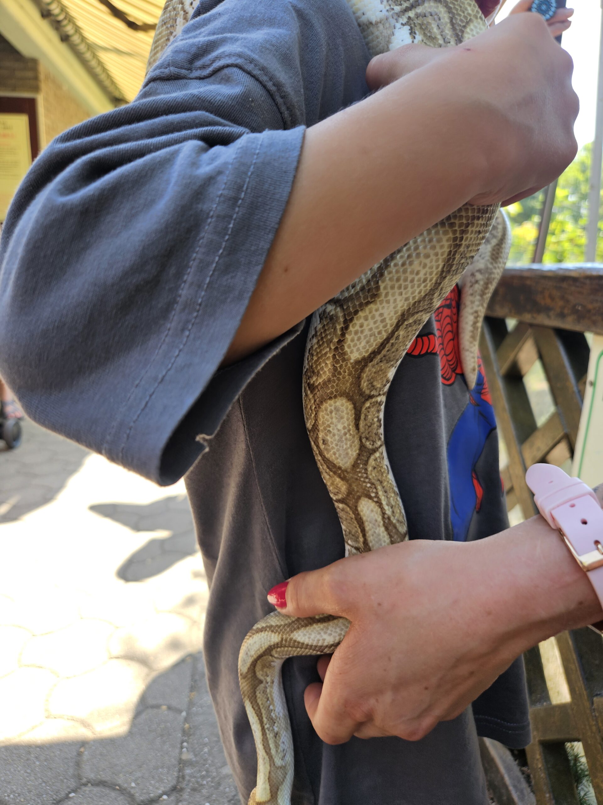 Reptilienzoo Happ Kleinkind