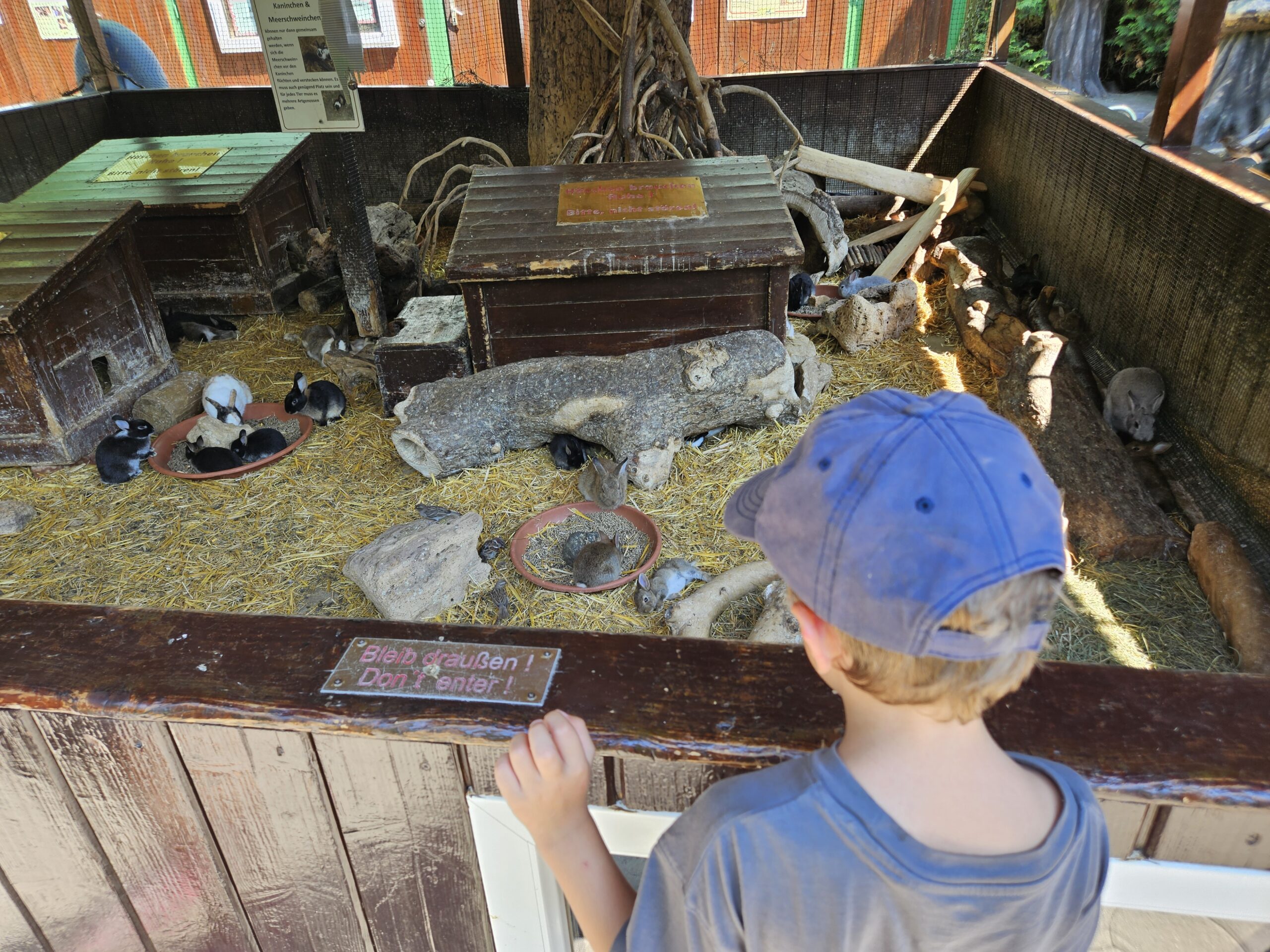 Reptilienzoo Happ Kleinkind