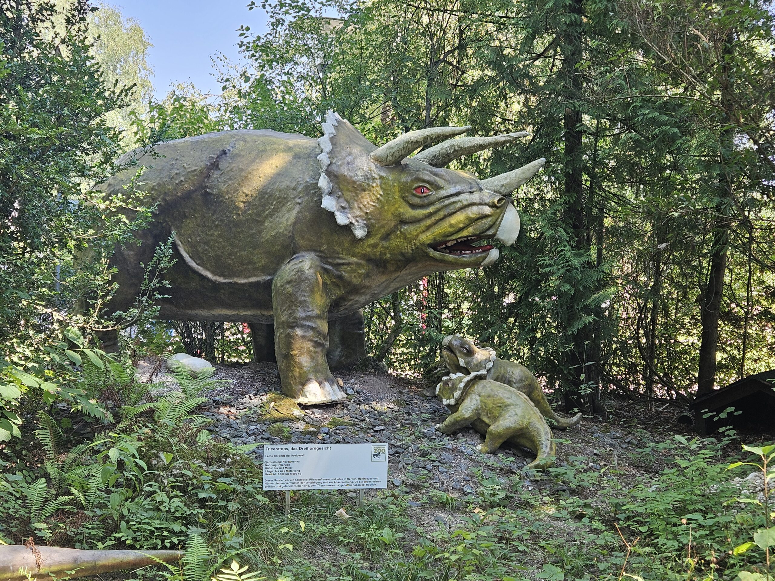 Reptilienzoo Happ Kleinkind