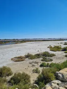 Salin d`Aigues-Mortes