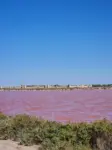 Salin d`Aigues-Mortes