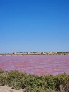 Salin d`Aigues-Mortes