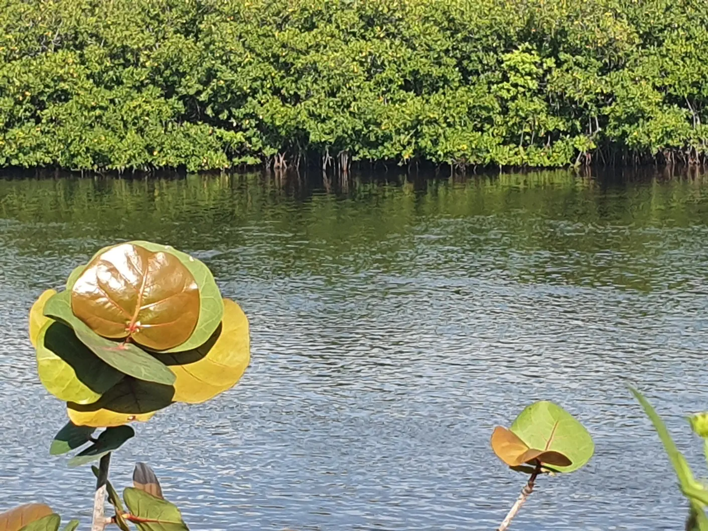 Florida Tipps