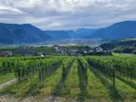 Ausblick vom Parkplatz