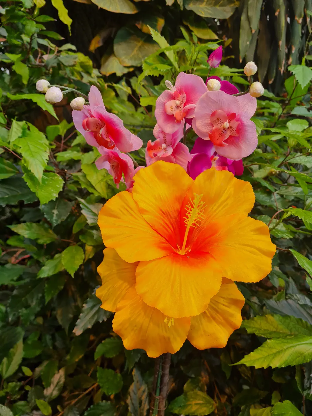 Pflanzliche Vielfalt ist hier auch gegeben