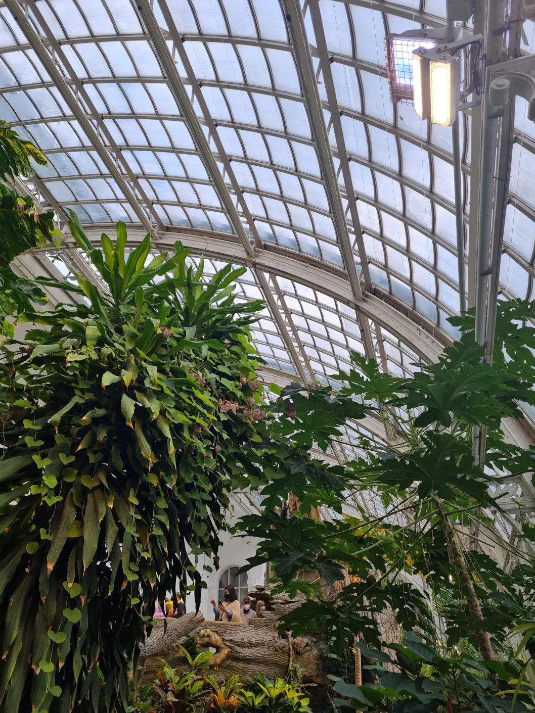 Lichtdurchflutet und angenehme 26°