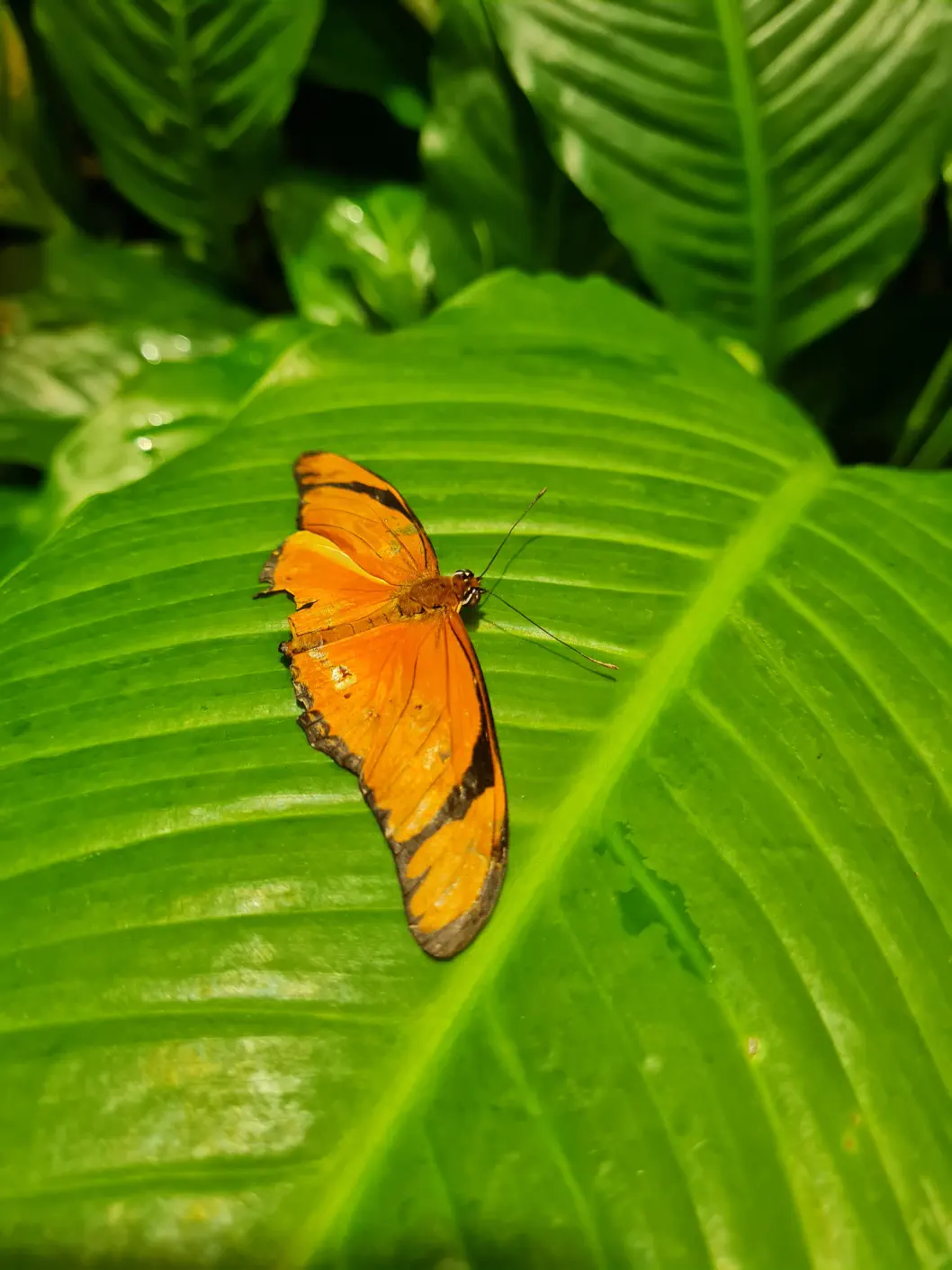 Wien Schlechtwetter Kind