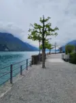 Brienzersee mit Kinderwagen