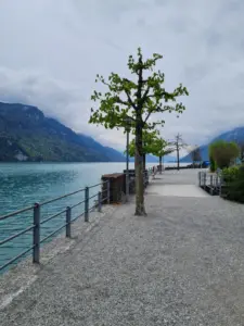 Brienzersee mit Kinderwagen