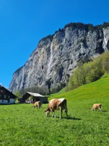 Lauterbrunnen Kleinkind