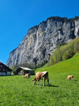 Lauterbrunnen Kleinkind