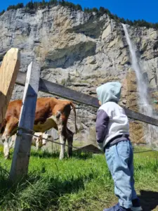 Lauterbrunnen Kleinkind