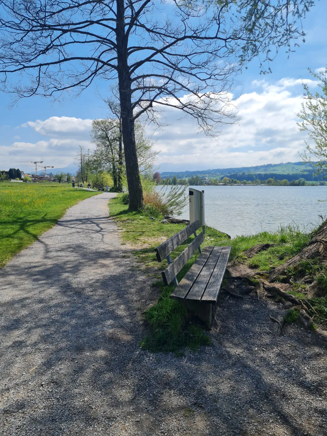 Sempachersee mit Kinderwagen
