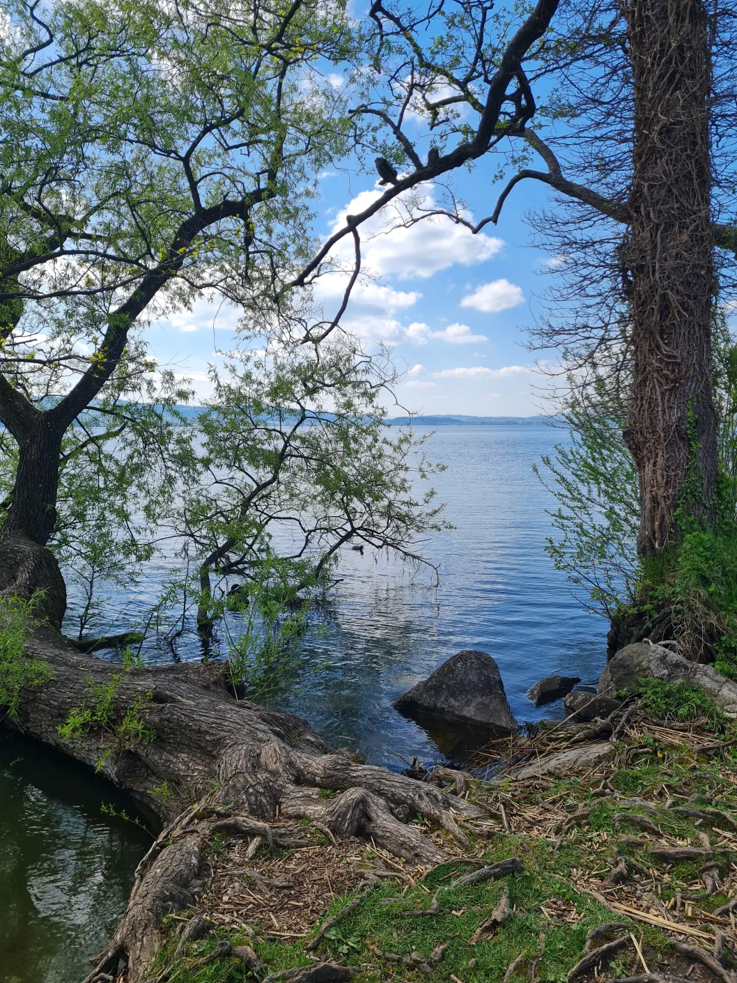 Sempachersee mit Kinderwagen