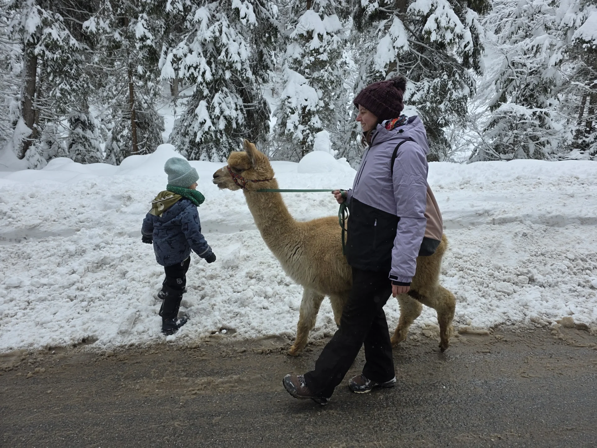 Urlaub in Seefeld mit Kind: Unsere Tipps & Ausflugsziele