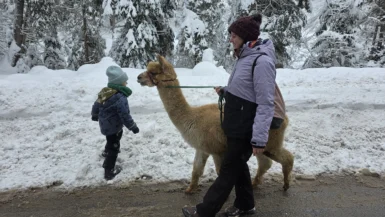 Urlaub in Seefeld mit Kind: Unsere Tipps & Ausflugsziele