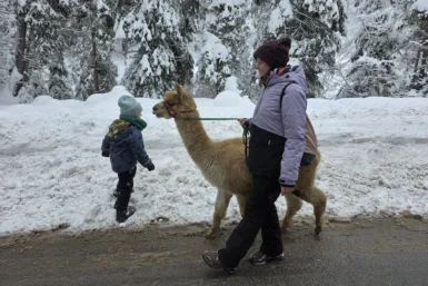 Urlaub in Seefeld mit Kind: Unsere Tipps & Ausflugsziele