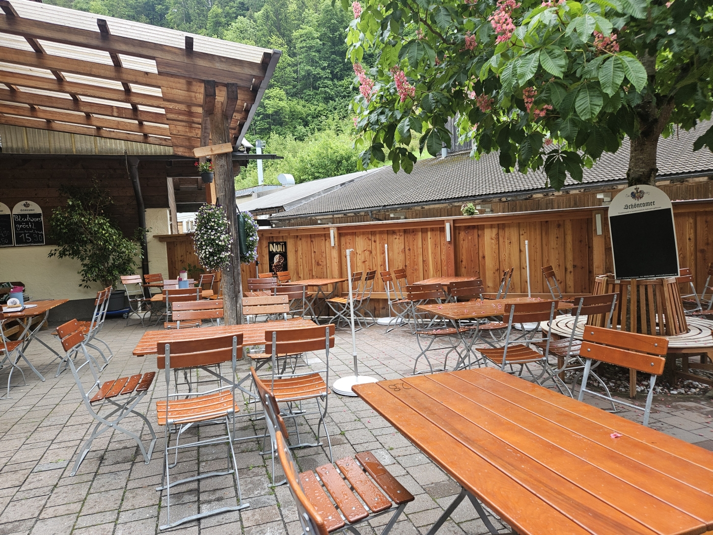 Wanderung Seisenbergklamm
