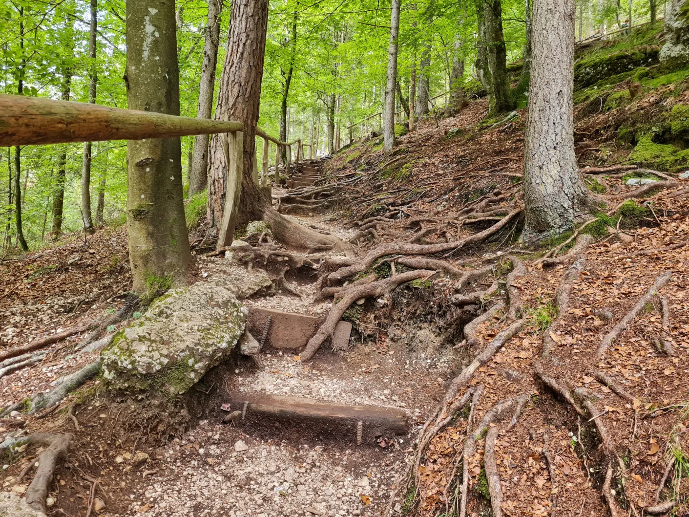 Der Weg zum Wasserfall ist kurz aber wurzelig und es gibt ein paar Stiegen