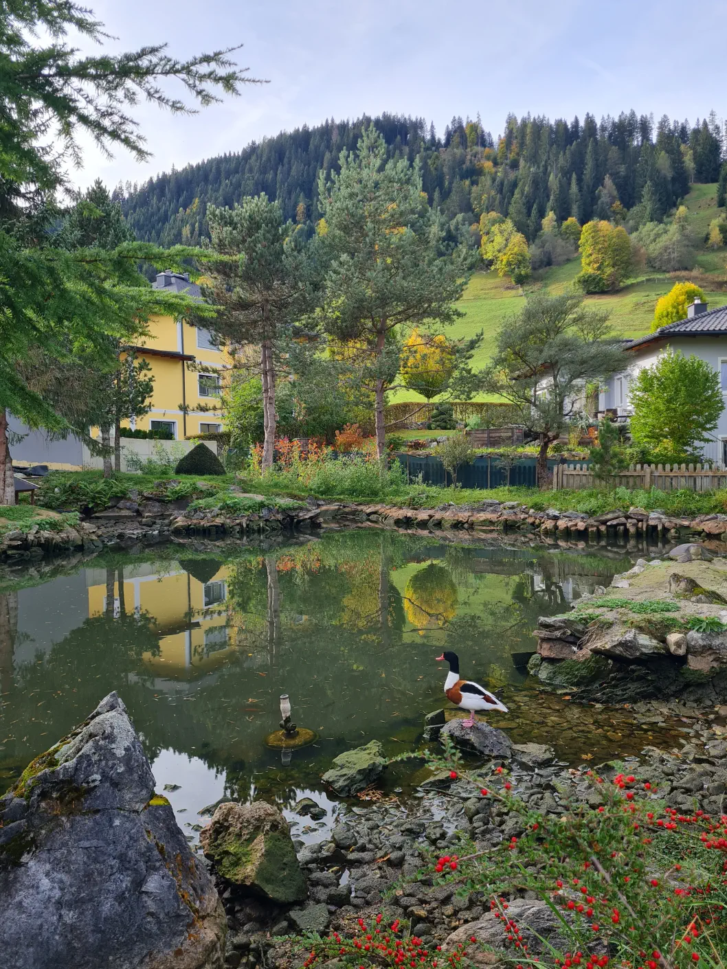 Ferienwohnung Flachau Kleinkind