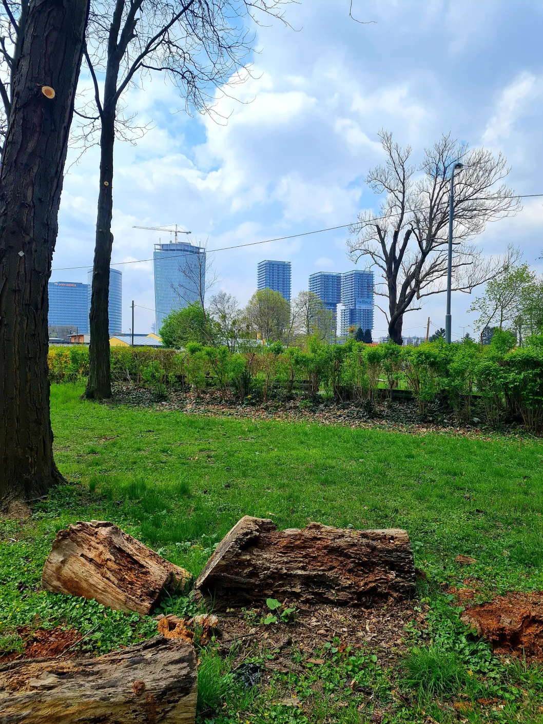 Stadtwanderweg Prater