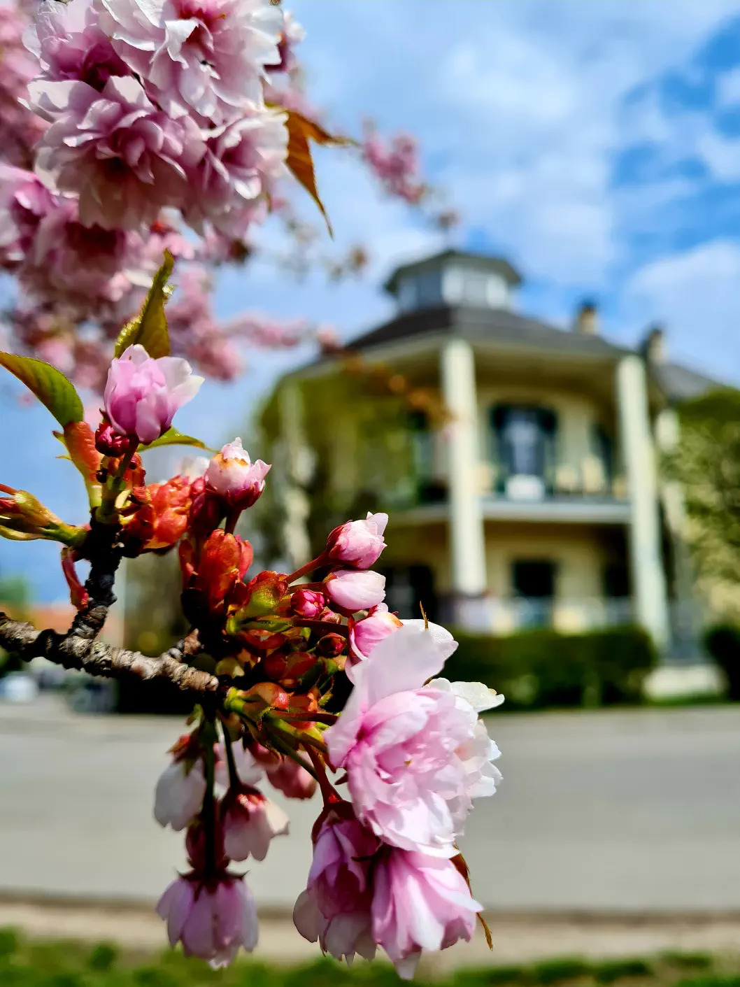 Stadtwanderweg Prater