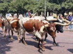 Dallas Sehenswürdigkeiten